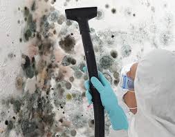 Best Emergency Mold Remediation  in Queens Gate, PA